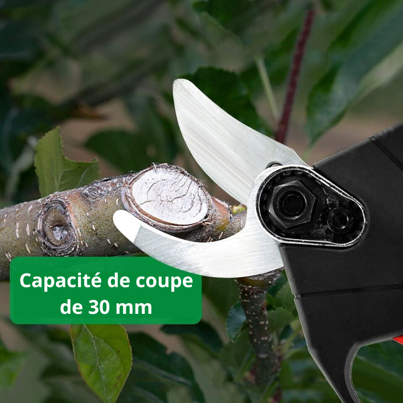 Sécateur électrique avec 2 batteries sans fil professionnel vigne – Image 5