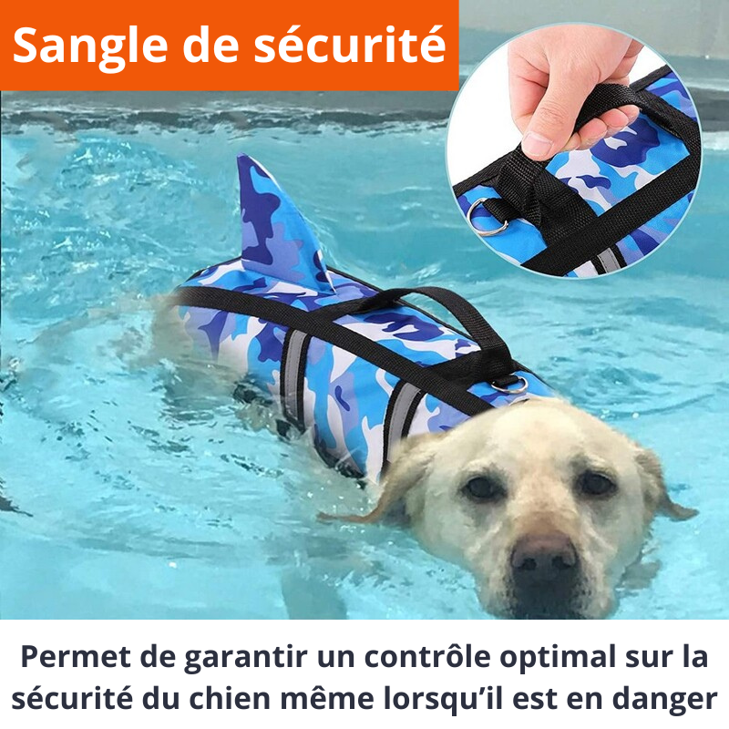 Un chien se baigne dans une piscine et reste à la surface de l'eau grâce à son gilet de sauvetage