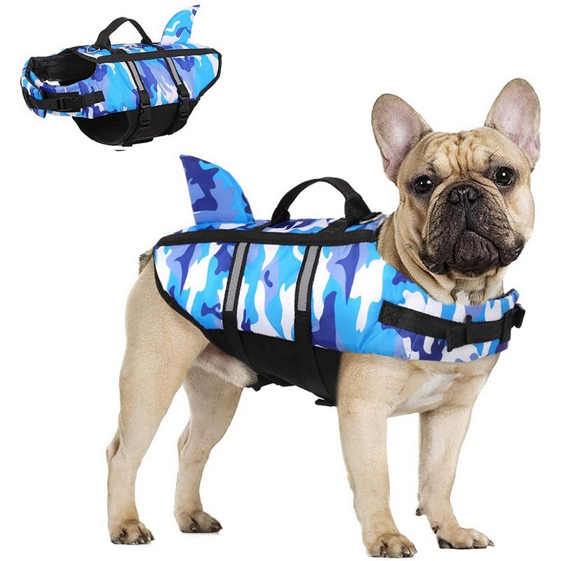Chien portant un gilet de sauvetage bleu